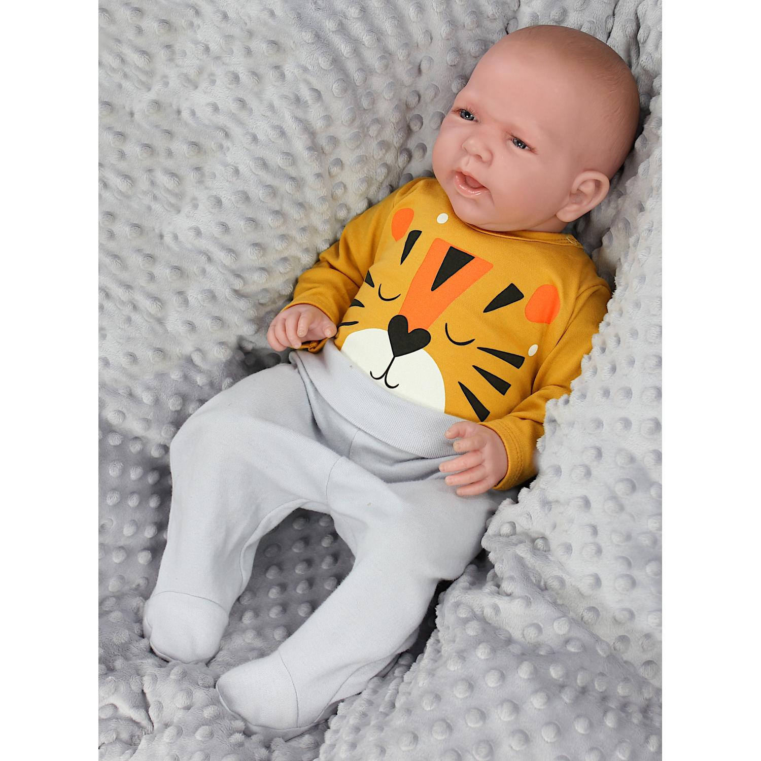 Baby Body Langarm - 5er Set