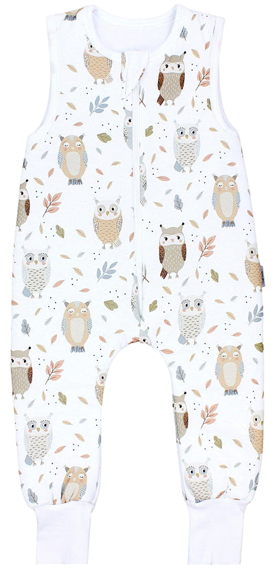 Eule Beige Pastellblau