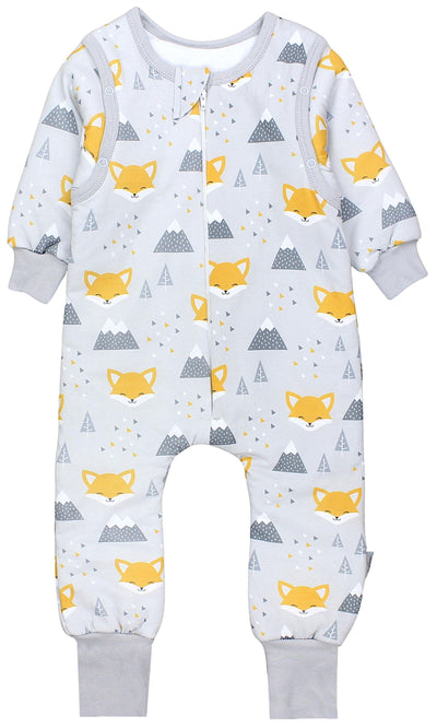 Gelber Fuchs im Winter