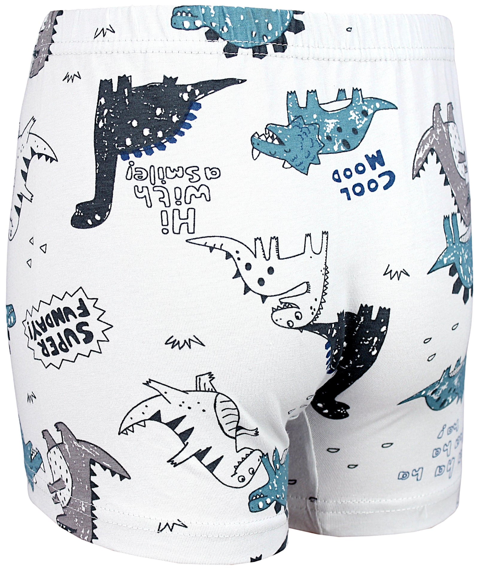291-Boxershorts10er-Set-Bild4