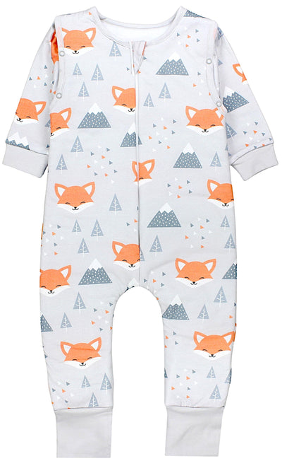Fuchs im Winter