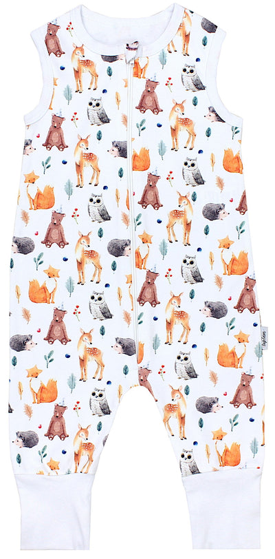 Waldtiere Eule Bär Reh Fuchs