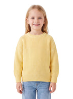 73332_WKHchIsA1tAYB7yA.jpg-Strickpullover Bio-Baumwolle-Hauptbild