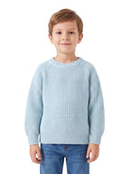 73341_s5AuhzqXT6cNsm6E.jpg-Strickpullover Bio-Baumwolle-Hauptbild