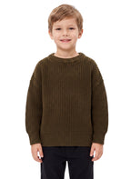 73350_SsISLts0BtRUPEVV.jpg-Strickpullover Bio-Baumwolle-Hauptbild
