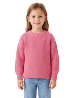 73375_MUQgaYEqb7Ol6CeF.jpg-Strickpullover Bio-Baumwolle-Hauptbild