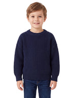 73385_d1wl2gsB1XuV5Uzu.jpg-Strickpullover Bio-Baumwolle-Hauptbild