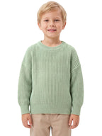 73397_ft2U7WLBFAUwKT1i.jpg-Strickpullover Bio-Baumwolle-Hauptbild